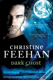 Capa do artigo Dark Ghost