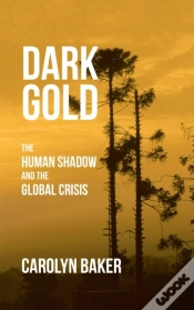 Capa do artigo Dark Gold