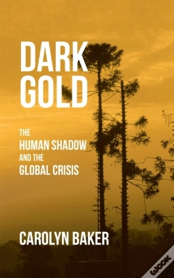 Capa do artigo Dark Gold