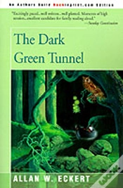 Capa do artigo Dark Green Tunnel