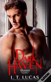 Capa do artigo Dark Haven Illusion
