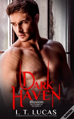 Capa do artigo Dark Haven Illusion