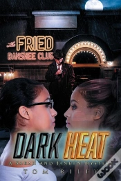 Capa do artigo Dark Heat