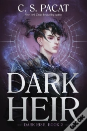 Capa do artigo Dark Heir