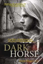 Capa do artigo Dark Horse