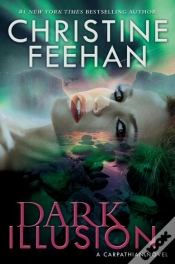 Capa do artigo Dark Illusion