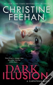 Capa do artigo Dark Illusion