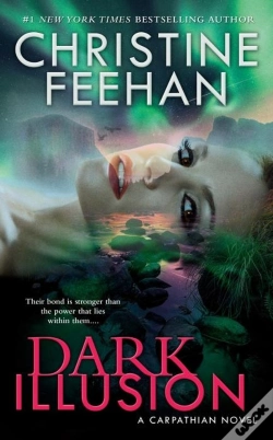 Capa do artigo Dark Illusion