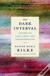 Capa do artigo Dark Interval
