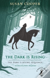 Capa do artigo Dark Is Rising