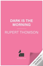 Capa do artigo Dark Is The Morning