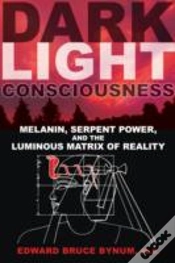 Capa do artigo Dark Light Consciousness