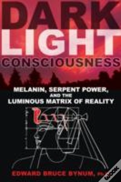 Capa do artigo Dark Light Consciousness