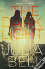 Capa do artigo Dark Light