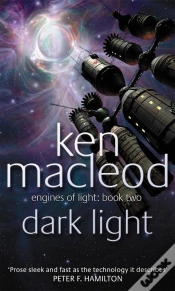 Capa do artigo Dark Light