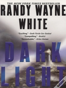 Capa do artigo Dark Light