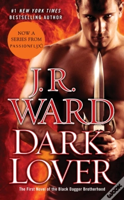 Capa do artigo Dark Lover