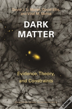 Capa do artigo Dark Matter