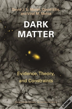 Capa do artigo Dark Matter