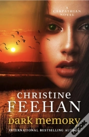 Capa do artigo Dark Memory