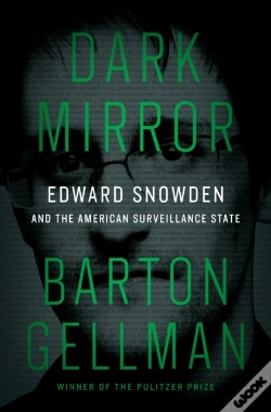 Capa do artigo Dark Mirror