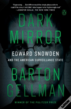 Capa do artigo Dark Mirror