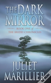 Capa do artigo Dark Mirror