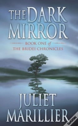 Capa do artigo Dark Mirror