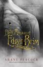 Dark Missions Of Edgar Brim - Preview