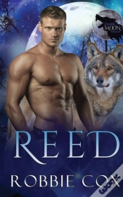 Capa do artigo Dark Moon Falls
