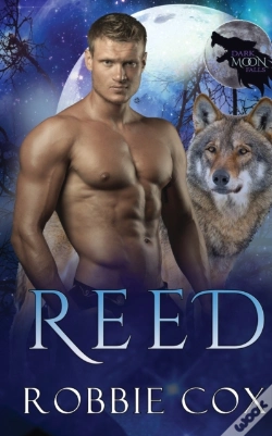 Capa do artigo Dark Moon Falls
