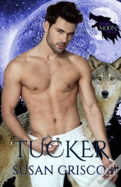 Capa do artigo Dark Moon Falls