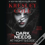 Capa do artigo Dark Needs At Night
