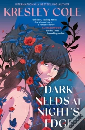 Capa do artigo Dark Needs At Night