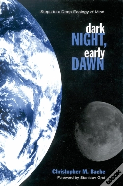 Capa do artigo Dark Night, Early Dawn