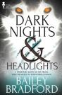 Dark Nights And Headlights - Preview