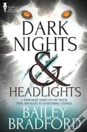 Capa do artigo Dark Nights And Headlights