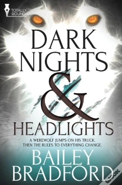Capa do artigo Dark Nights And Headlights