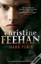 Capa do artigo Dark Peril