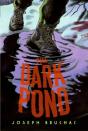 Dark Pond - Preview
