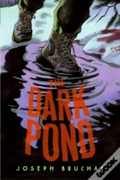 Capa do artigo Dark Pond