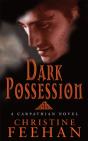 Dark Possession - Preview