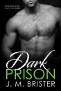 Dark Prison - Preview