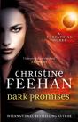 Dark Promises - Preview