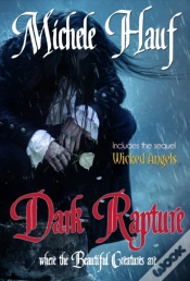 Capa do artigo Dark Rapture
