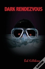 Capa do artigo Dark Rendezvous