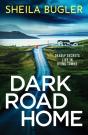 Dark Road Home - Preview