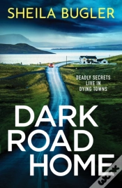 Capa do artigo Dark Road Home