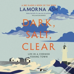 Capa do artigo Dark, Salt, Clear