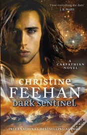 Capa do artigo Dark Sentinel